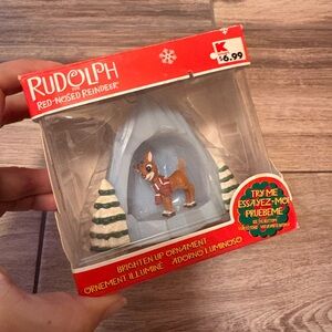 New In BoxVTG Christmas Rudolph the island of misfit toys ornament Kmart